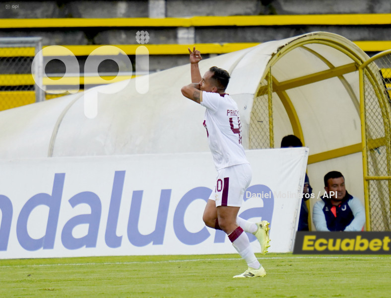 FBL LIGAPRO VINO TINTO CATOLICA