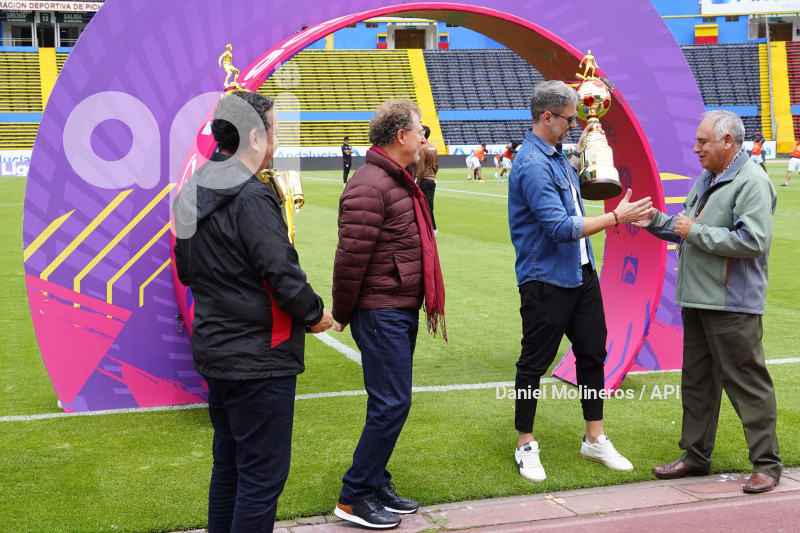 FBL LIGAPRO VINO TINTO CATOLICA