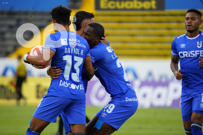 FBL LIGAPRO VINO TINTO CATOLICA
