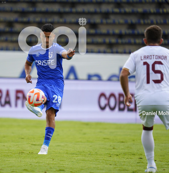 FBL LIGAPRO VINO TINTO CATOLICA