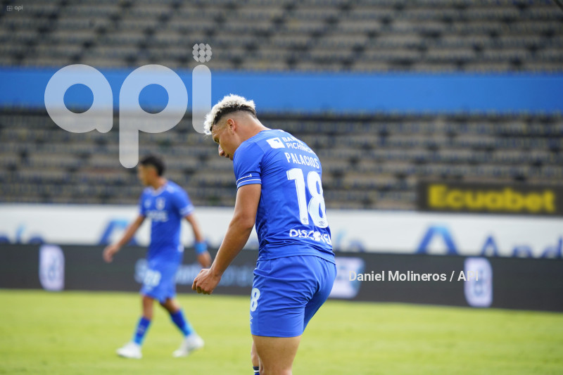 FBL LIGAPRO VINO TINTO CATOLICA