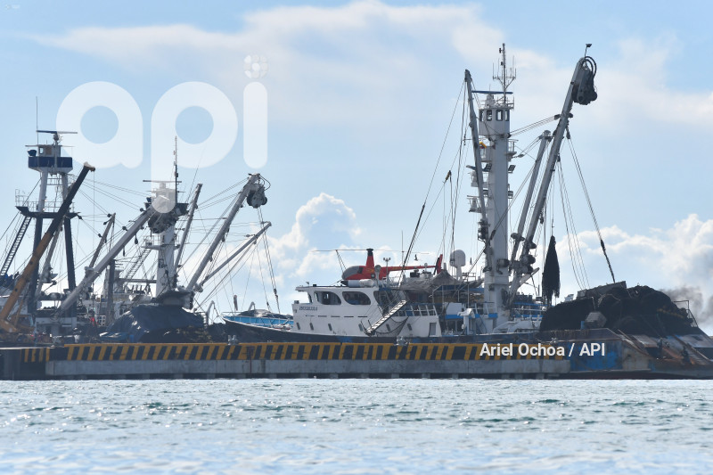MANTA-PUERTO-BASE