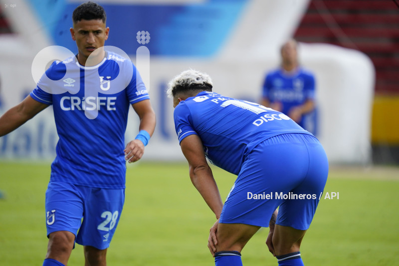 FBL LIGAPRO VINO TINTO CATOLICA