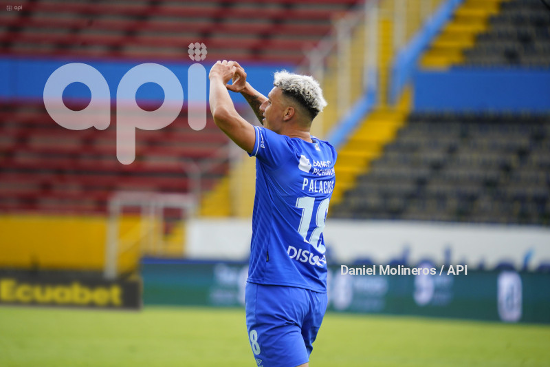 FBL LIGAPRO VINO TINTO CATOLICA