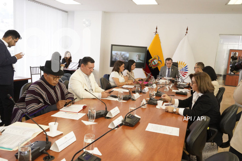 COMISION JUSTICIA VIOLENCIA VICARIA
