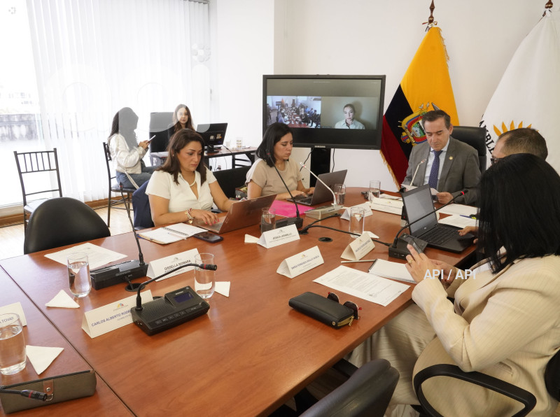 COMISION JUSTICIA VIOLENCIA VICARIA