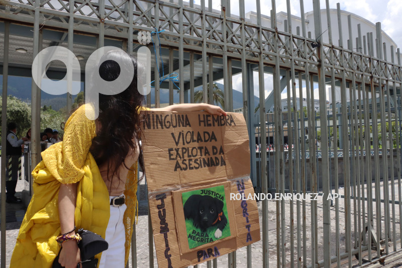 NO MAS MALTRATO ANIMAL