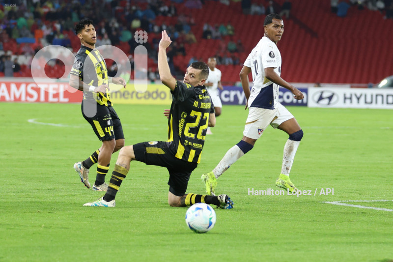 UIO-LIBERTADORES-LDU-TACHIRA
