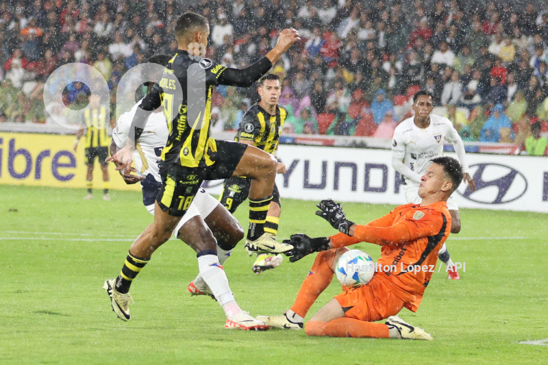 UIO-LIBERTADORES-LDU-TACHIRA