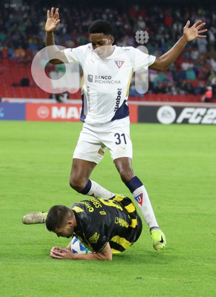 UIO-LIBERTADORES-LDU-TACHIRA