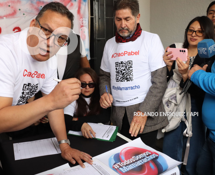 FORMULARIOS REVOCATORIA MANDATO  PABEL MUNOZ
