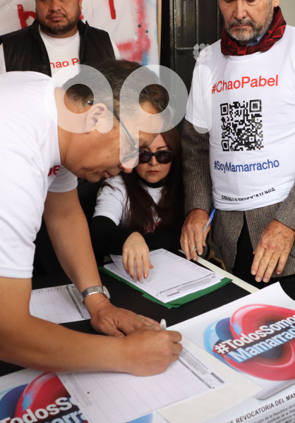 FORMULARIOS REVOCATORIA MANDATO  PABEL MUNOZ