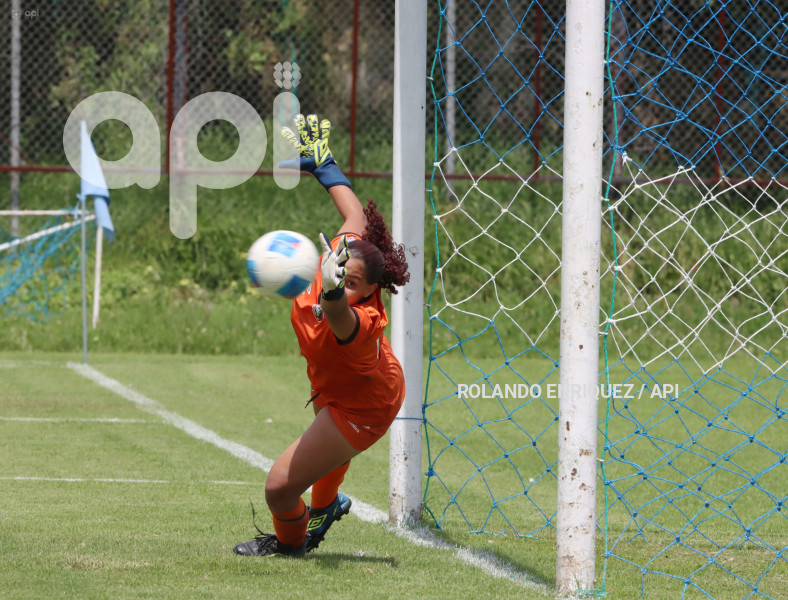FBL SUPERLIGA FEMENINA VINO TINTO VS LEONES DEL NORTE