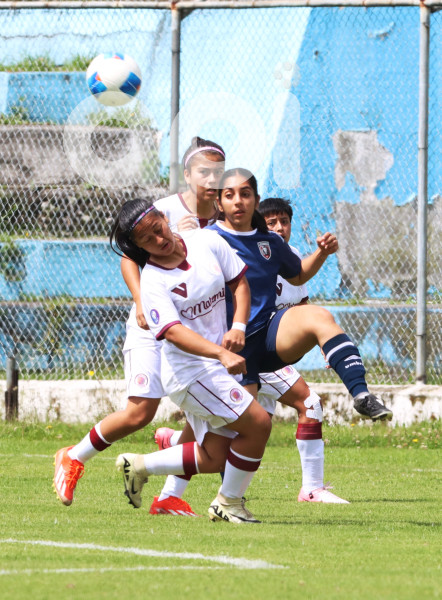 FBL SUPERLIGA FEMENINA VINO TINTO VS LEONES DEL NORTE