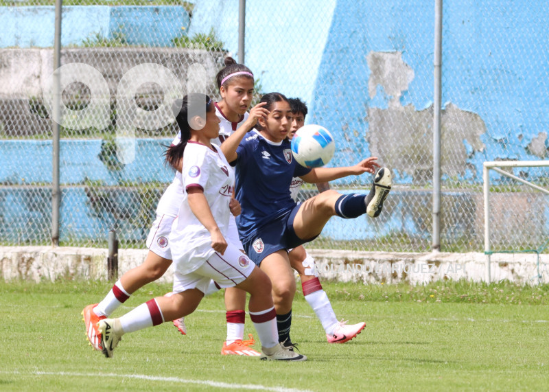 FBL SUPERLIGA FEMENINA VINO TINTO VS LEONES DEL NORTE