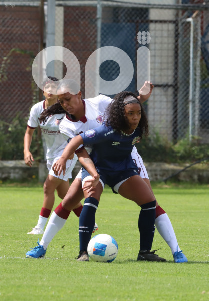 FBL SUPERLIGA FEMENINA VINO TINTO VS LEONES DEL NORTE
