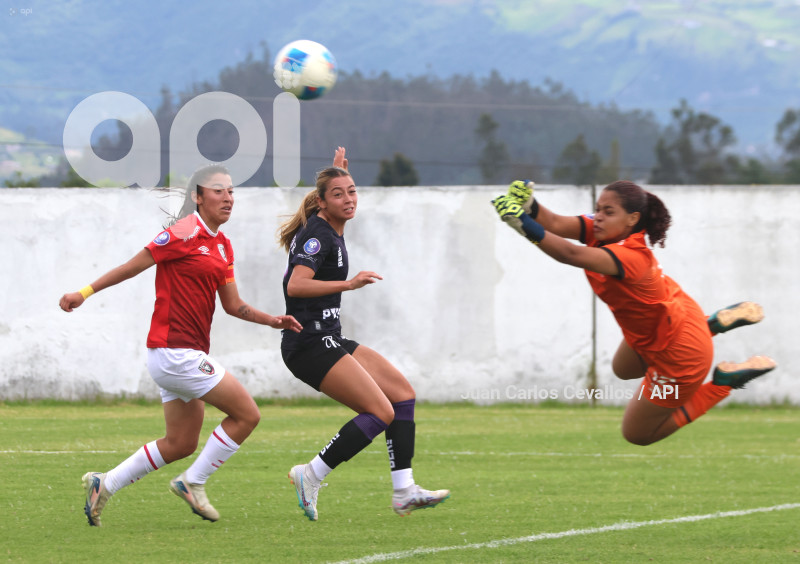 FBL-SUPERLIGA-LEONES DEL NORTE-ÑAÑAS