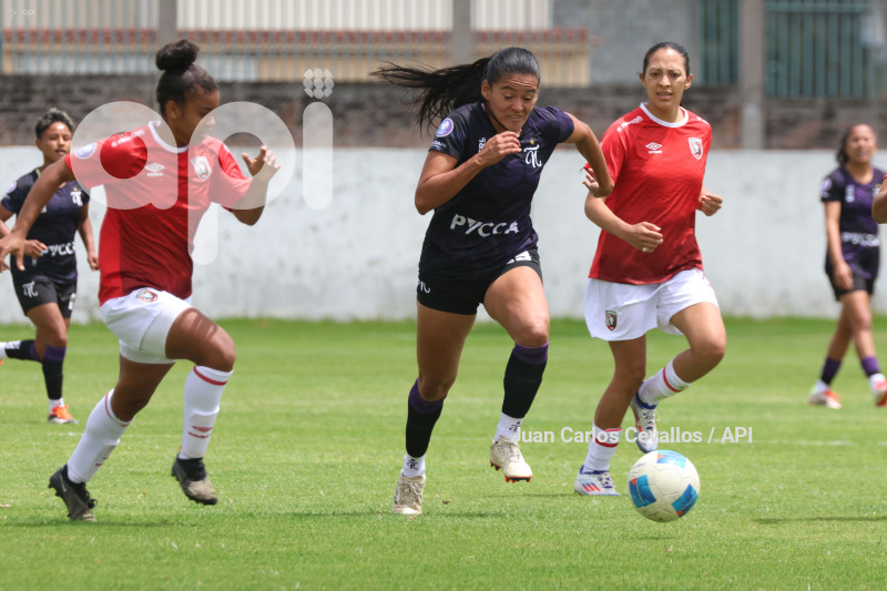 FBL-SUPERLIGA-LEONES DEL NORTE-ÑAÑAS