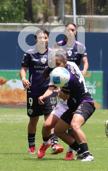 FBL SUPERLIGA FEMENINA DRAGONAS IDV VS VINO TINTO