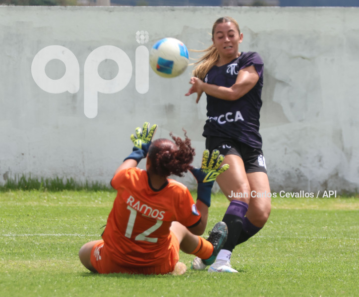 FBL-SUPERLIGA-LEONES DEL NORTE-ÑAÑAS
