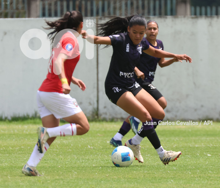 FBL-SUPERLIGA-LEONES DEL NORTE-ÑAÑAS