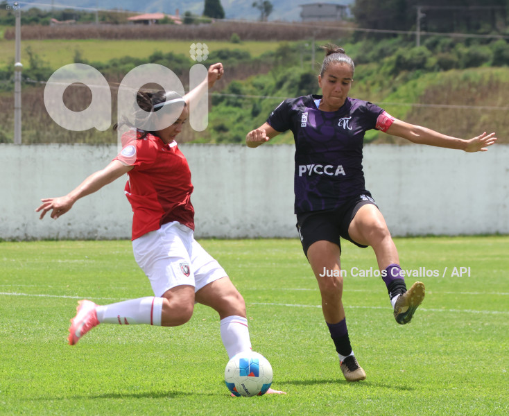 FBL-SUPERLIGA-LEONES DEL NORTE-ÑAÑAS