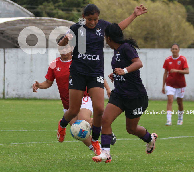 FBL-SUPERLIGA-LEONES DEL NORTE-ÑAÑAS