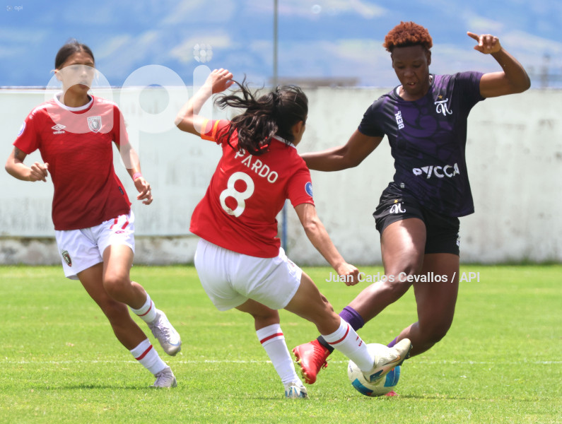 FBL-SUPERLIGA-LEONES DEL NORTE-ÑAÑAS