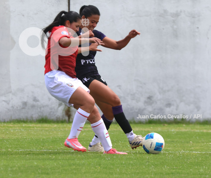FBL-SUPERLIGA-LEONES DEL NORTE-ÑAÑAS