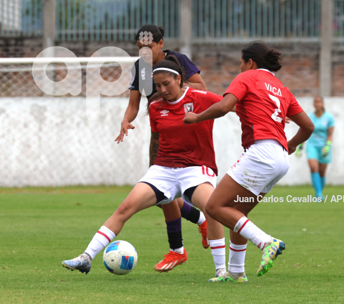 FBL-SUPERLIGA-LEONES DEL NORTE-ÑAÑAS