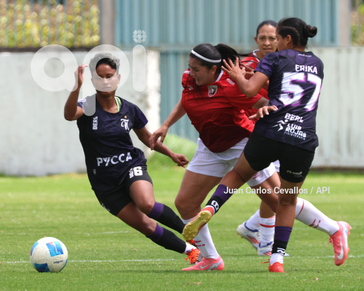 FBL-SUPERLIGA-LEONES DEL NORTE-ÑAÑAS