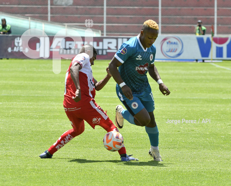 FBL LIGA PRO TECNICO VINO TINTO