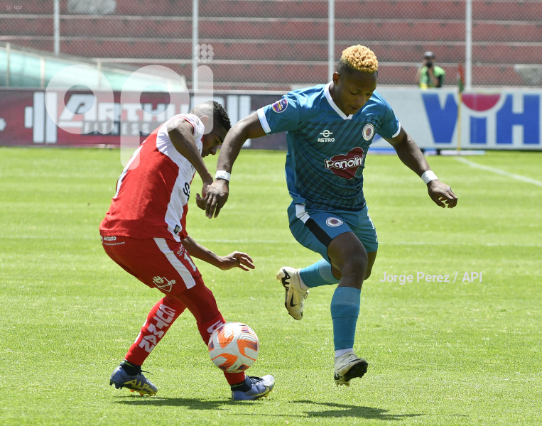 FBL LIGA PRO TECNICO VINO TINTO