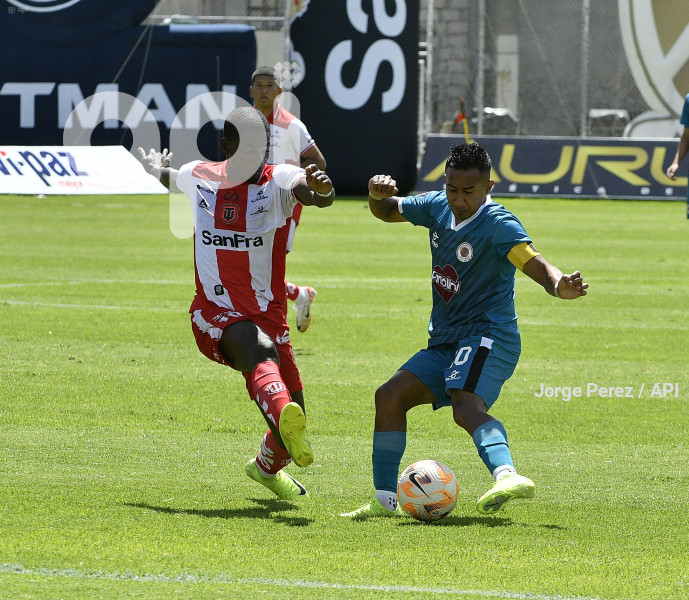 FBL LIGA PRO TECNICO VINO TINTO