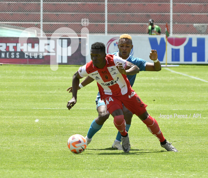 FBL LIGA PRO TECNICO VINO TINTO