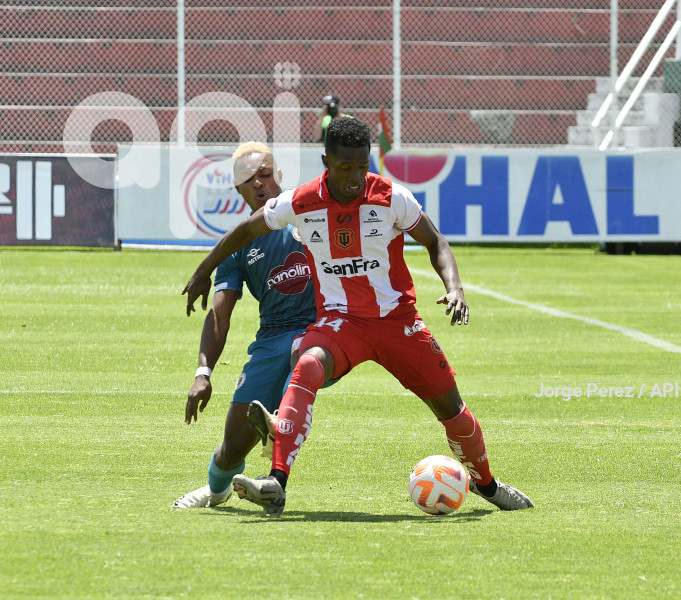 FBL LIGA PRO TECNICO VINO TINTO