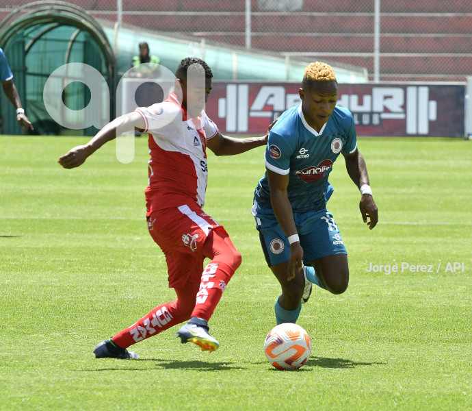 FBL LIGA PRO TECNICO VINO TINTO