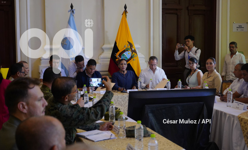 GYE-SESION CONSEJO SEGURIDAD