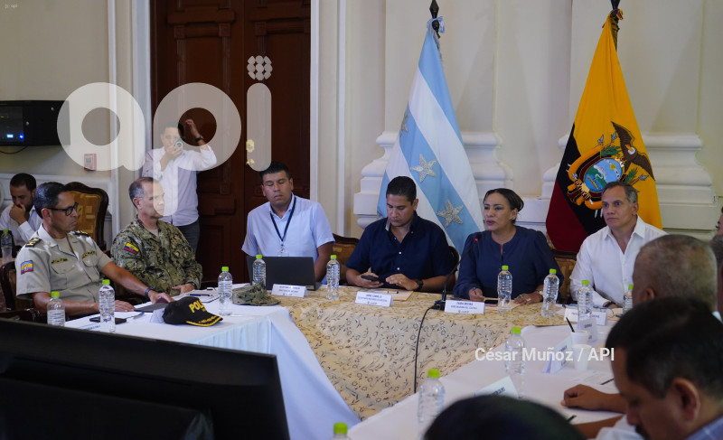 GYE-SESION CONSEJO SEGURIDAD
