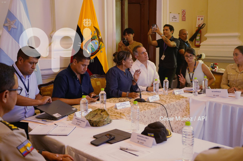 GYE-SESION CONSEJO SEGURIDAD