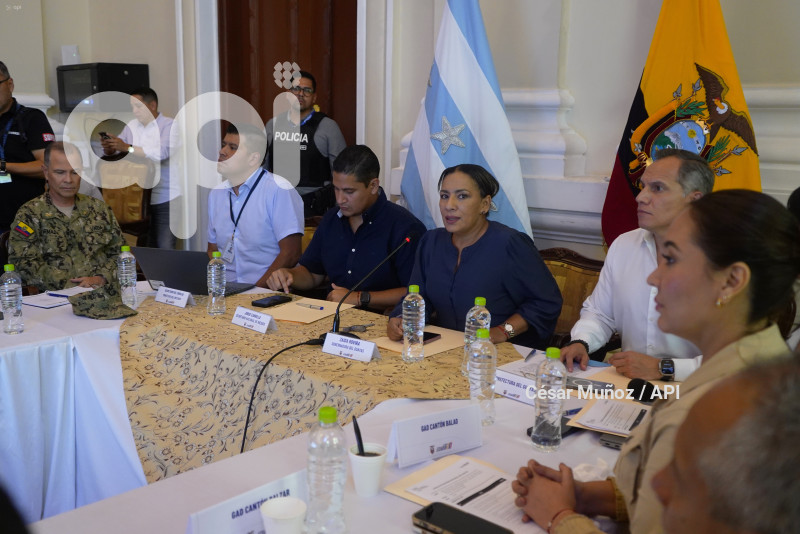 GYE-SESION CONSEJO SEGURIDAD