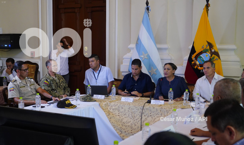 GYE-SESION CONSEJO SEGURIDAD