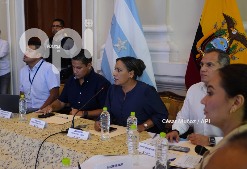 GYE-SESION CONSEJO SEGURIDAD