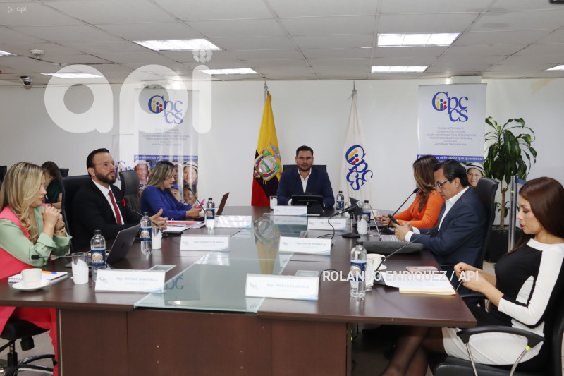 PLENO PARTICIPACIÓN CIUDADANA