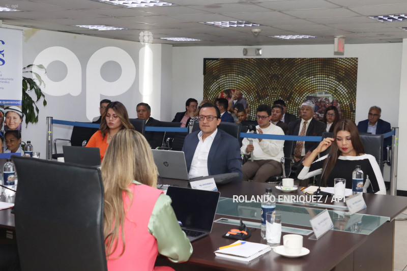 PLENO PARTICIPACIÓN CIUDADANA