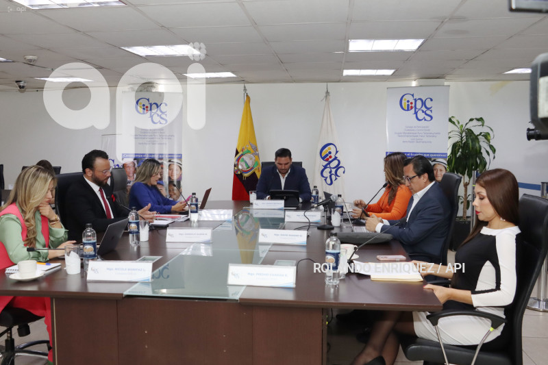 PLENO PARTICIPACIÓN CIUDADANA