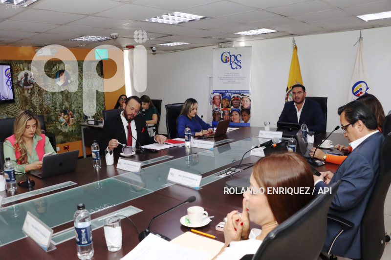 PLENO PARTICIPACIÓN CIUDADANA