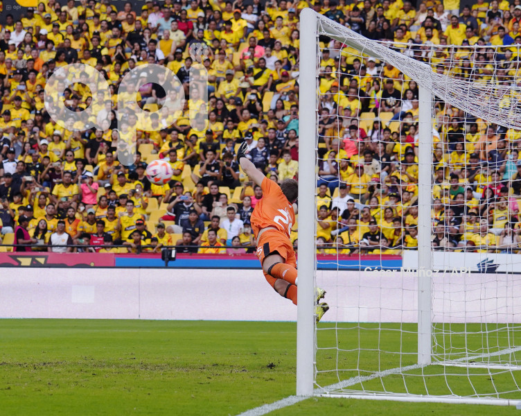 FBL-LIGAPRO-BARCELONA-VINOTINTO