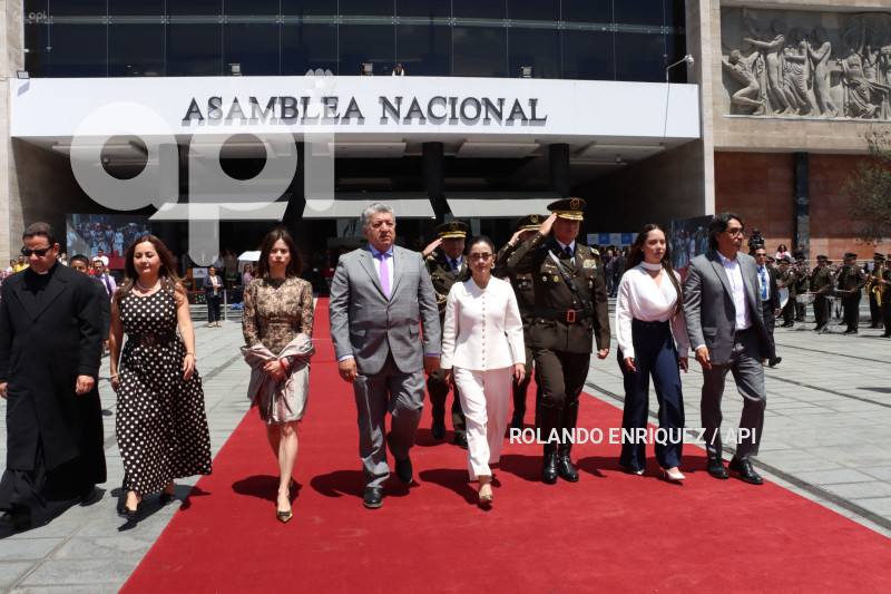 INFORME VIVIANA VELOZ