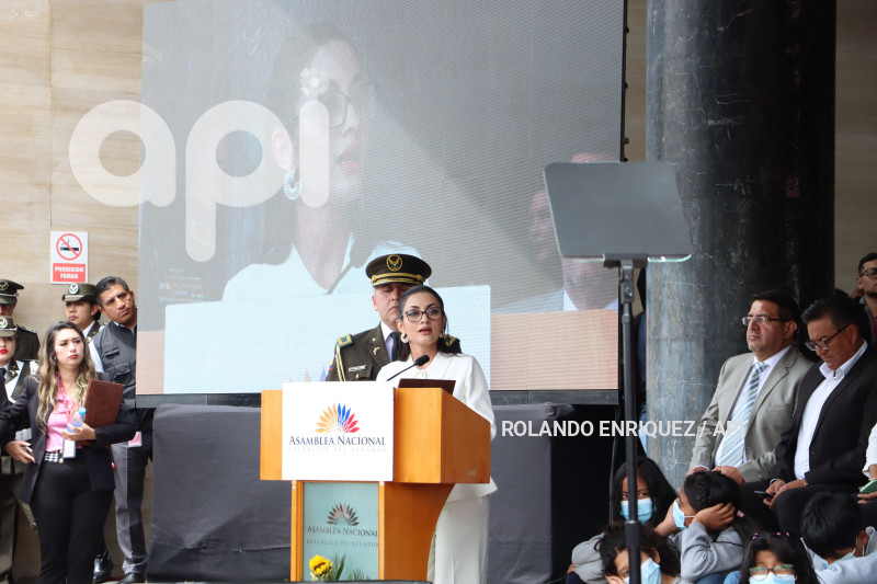 INFORME VIVIANA VELOZ